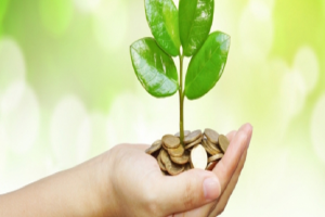 energy efficiency initiatives