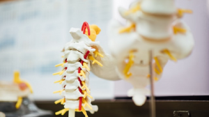 herniated disc surgery