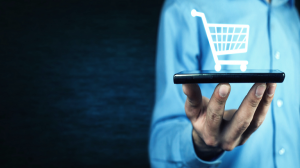 independent software vendor