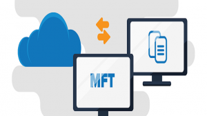 mft software development
