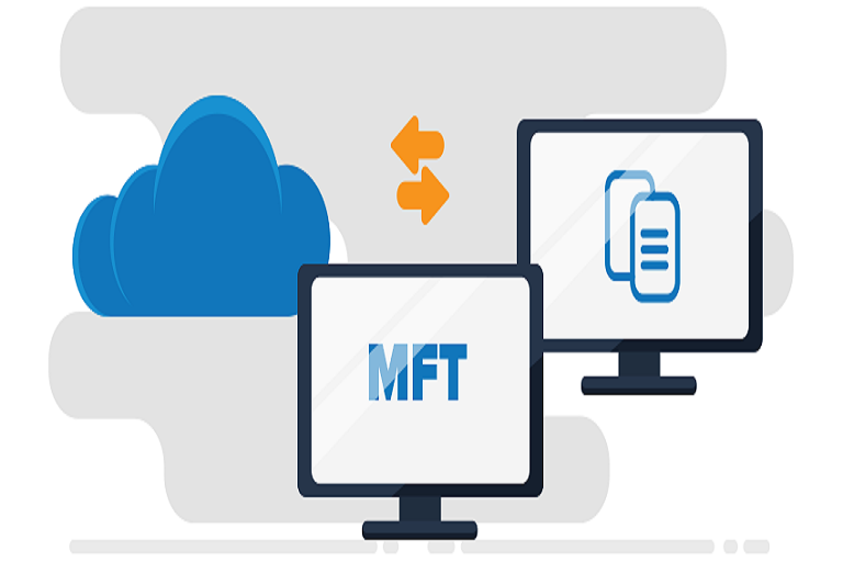 mft software development