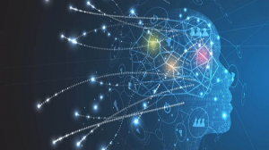 neural network software