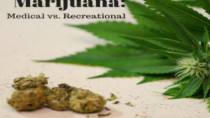 recreational and medical marijuana