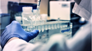 batch release testing