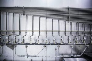 Legionella And Water Services