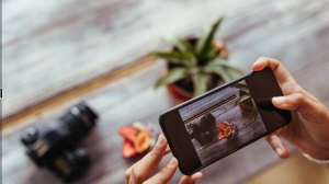 Sustainable Design Elements