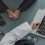 The Rise of Electronic Medical Records: Transforming Global Healthcare