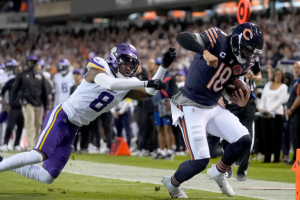 pethrem-EMR industry