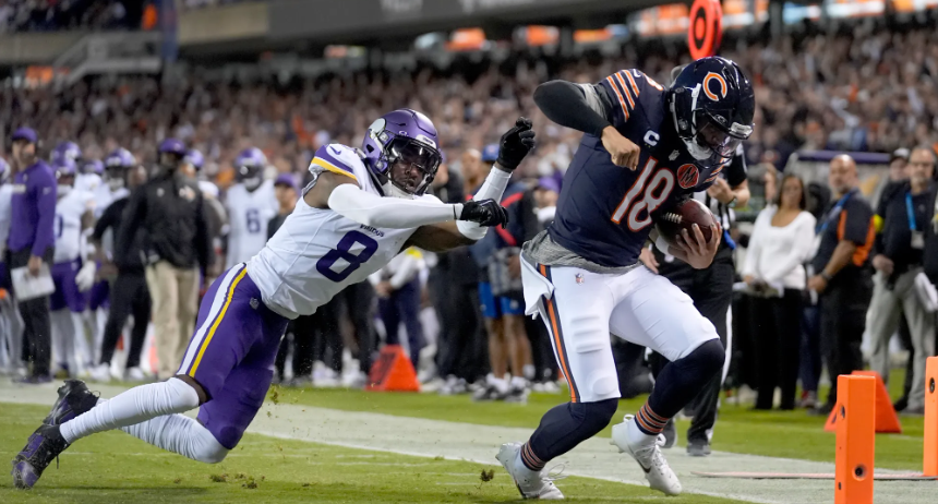 pethrem-EMR industry