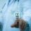 How AI Is Transforming Clinical Decision Support in EMRs
